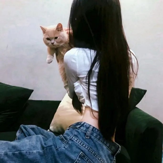 飞蛾日记