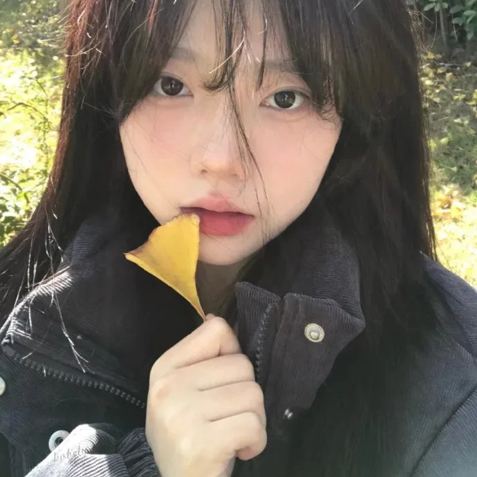 小病猫